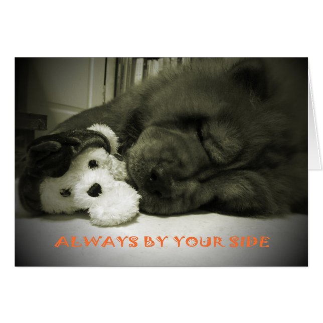 あなたの側面常にによって (正面横)