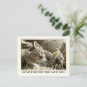 あなたの写真かわいい子猫の新しいアドレス ポストカード (スタンド正面)