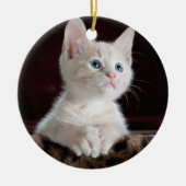 あなたの写真のカスタム セラミックオーナメント (正面)