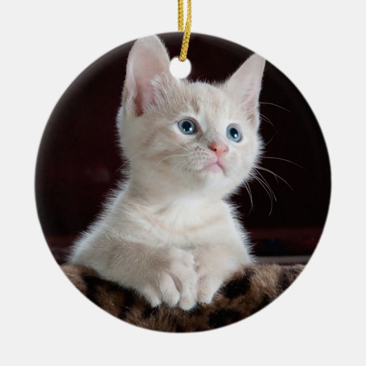 あなたの写真のカスタム セラミックオーナメント (正面)