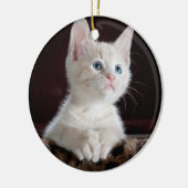 あなたの写真のカスタム セラミックオーナメント (左)