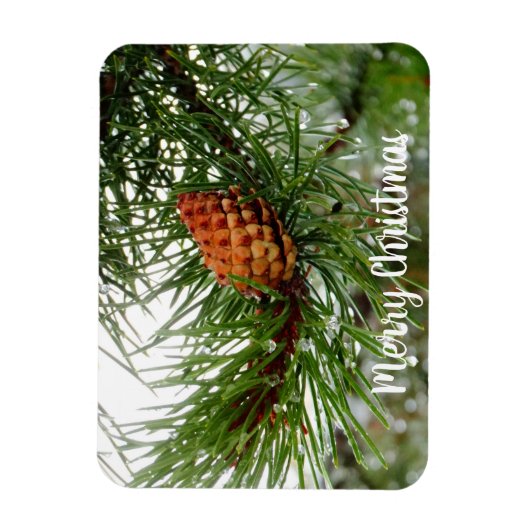 あなたの写真はこちら/文字または家族クリトマス マグネット (縦)