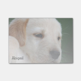 あなたの写真は自動的に次第に衰退します ポストイット