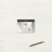 あなたの写真は自動的に次第に衰退します ポストイット (デスク上)