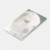 あなたの写真は自動的に次第に衰退します ポストイット (アングル)