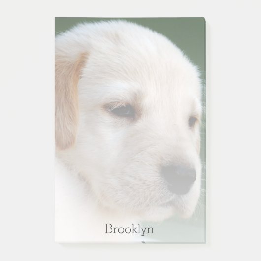 あなたの写真は自動的に次第に衰退します ポストイット (正面)