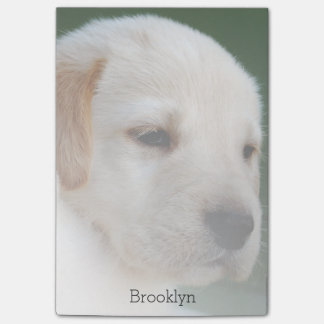 あなたの写真は自動的に次第に衰退します ポストイット