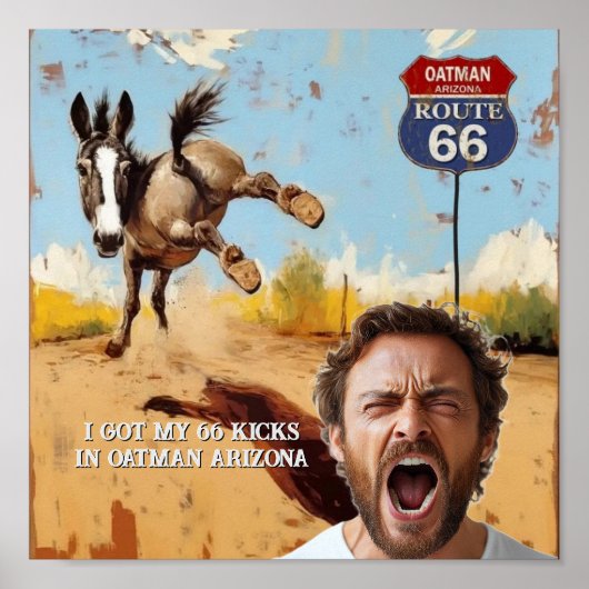 あなたの写真を取得蹴,オットマンアリゾナ,ロバ ポスター (正面)