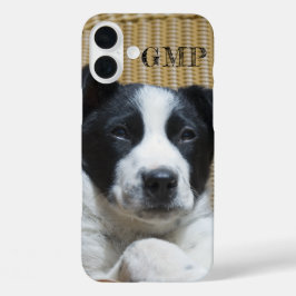 あなたの写真を追加縁どコリーヒーラーパピーモノグラム iPhone 16 PLUSケース