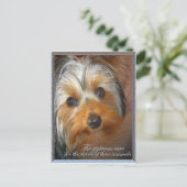 あなたの動物のヨークシャーテリア ポストカード (スタンド正面)