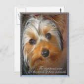 あなたの動物のヨークシャーテリア ポストカード (正面/裏面)