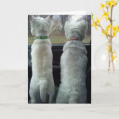 あなたの双子であるおもしろい=誕生日カード カード (黄色い花)