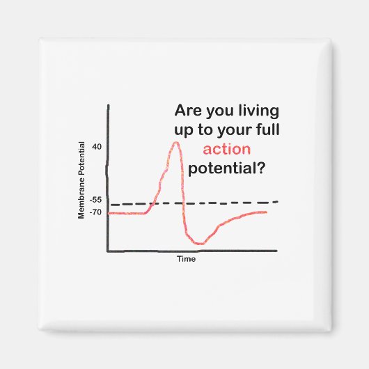 あなたの可能性を最大限に生きる マグネット (正面)