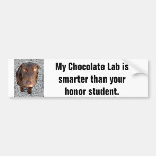 あなたの名誉学生より頭が切れるな私のチョコレート実験室 バンパーステッカー