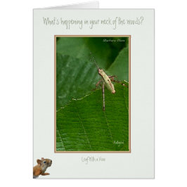 "あなたの地域で何が起こっていますか。