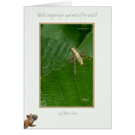 "あなたの地域で何が起こっていますか。