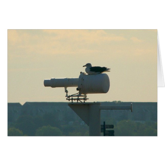 あなたの基盤はすべて私達に属しますあります (正面横)