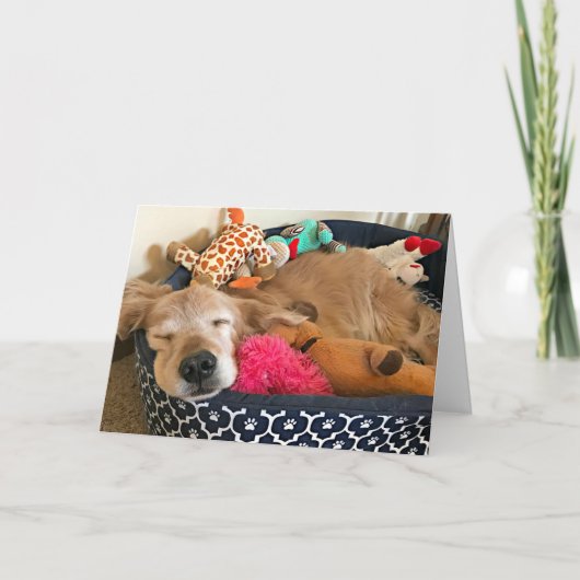 あなたの夢が連れて行くゴールデンレトリバー カード (正面)