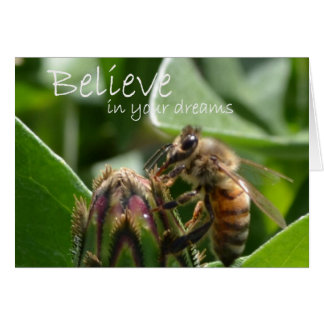 あなたの夢で信じて下さい