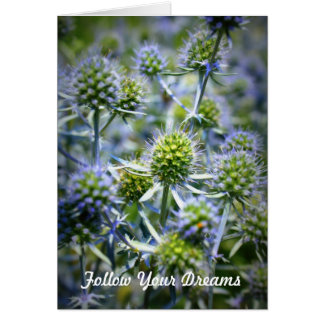 あなたの夢を後を追って下さい