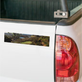 あなたの夢を後を追って下さい! バンパーステッカー (トラック上)