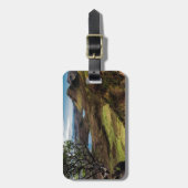 あなたの夢を後を追って下さい! ラゲッジタグ (正面縦)