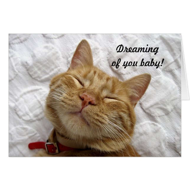 あなたの夢を見ることベビー (正面横)