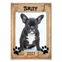 あなたの家族ペット – 装飾写真テンプレート