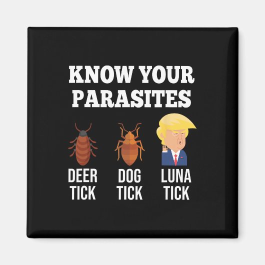 あなたの寄生虫のアンチトランプのおもしろいダニの抵抗を知る マグネット (正面)