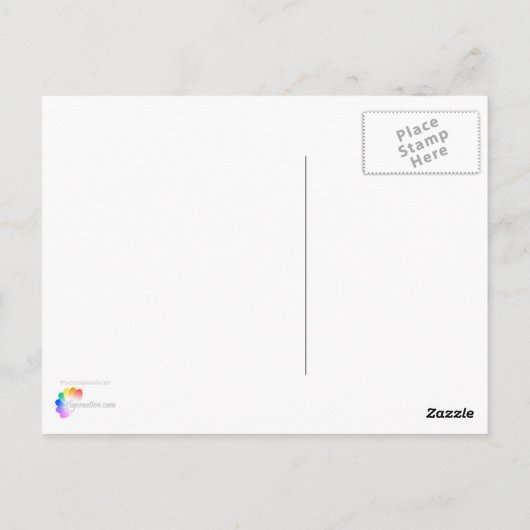 あなたの帆を調節して下さい ポストカード (裏面)