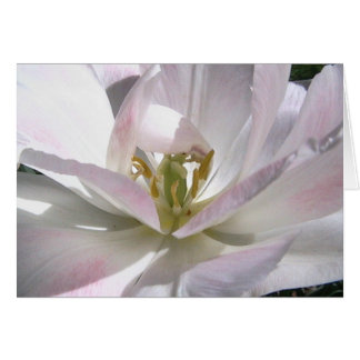 あなたの心を開けて下さい