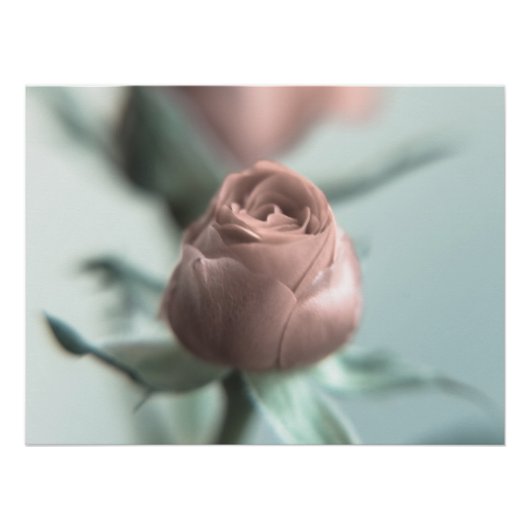 あなたの恋人のためのピンクのバラ… ポスター (正面)