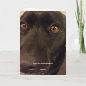 あなたの悲しい犬の考えることは梳きます カード (裏面)