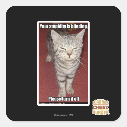 あなたの愚かさは目が見えない2 スクエアシール (正面)