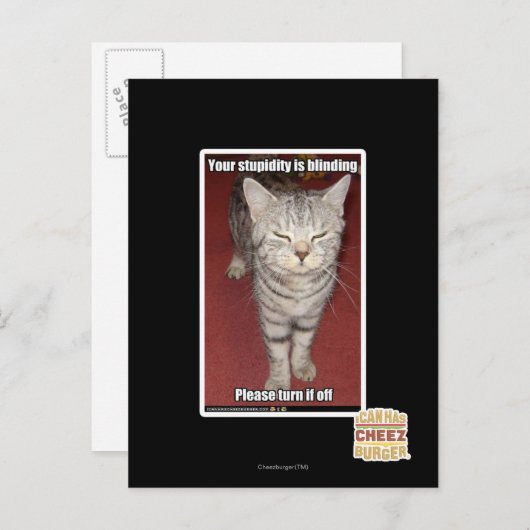 あなたの愚かさは目が見えない2 ポストカード (正面/裏面)