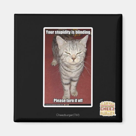 あなたの愚かさは目が見えない2 マグネット (正面)