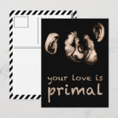 あなたの愛は基本的なもの：チキスをするンプ ポストカード (正面/裏面)