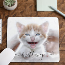 あなたの愛らしい家族のペット子猫の写真
