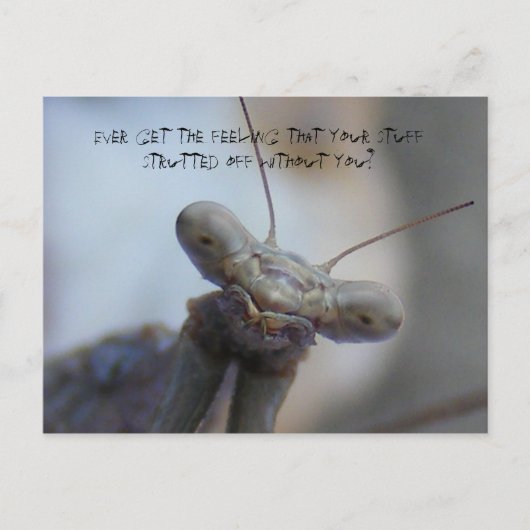 あなたの感じ物... ポストカード (正面)