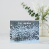 あなたの挨拶の雪は藤はがきを覆った ポストカード (スタンド正面)