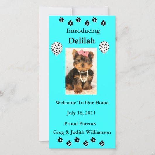 あなたの採用されたペット写真カードを導入して下さい 案内状 (正面)