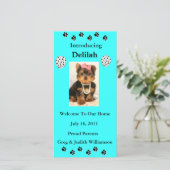 あなたの採用されたペット写真カードを導入して下さい 案内状 (スタンド正面)