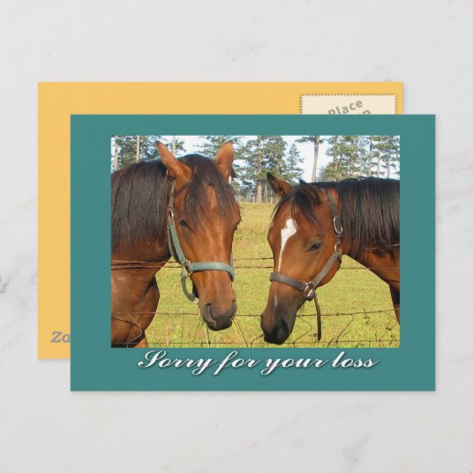 あなたの損失のために申し訳なく、悔やみや弔慰2つの悲しい馬 ポストカード (正面/裏面)