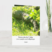 あなたの損失のためのSympathカード カード (裏面)