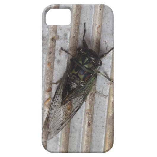 あなたの携帯ケースにとまってるセミの虫 Case-Mate iPhoneケース (裏面)