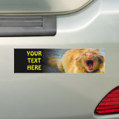 あなたの文字とわめく猫 バンパーステッカー (車上)