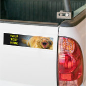 あなたの文字とわめく猫 バンパーステッカー (トラック上)