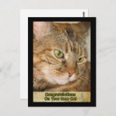 あなたの新しい猫におめでとう ポストカード (正面/裏面)