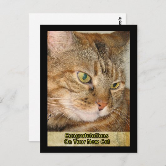 あなたの新しい猫におめでとう ポストカード (正面/裏面)