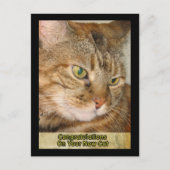 あなたの新しい猫におめでとう ポストカード (正面)